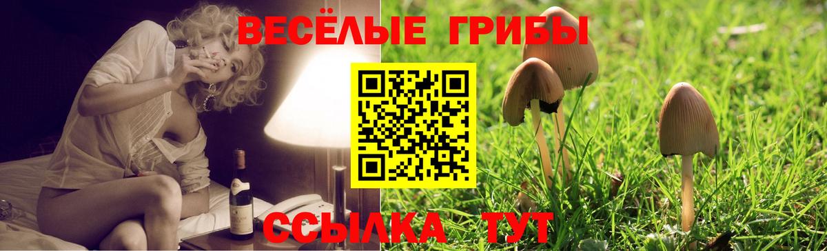 Галлюциногенные грибы прущие грибы Кинешма