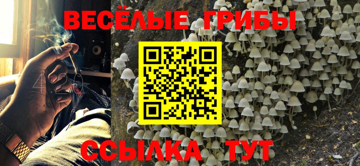 закладка  Галлюциногенные грибы Psilocybine cubensis  Вход с VPN  Кинешма 